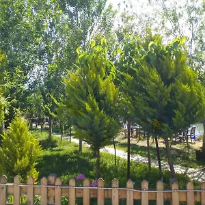  Oda ve Kahvaltı Deniz Kizi